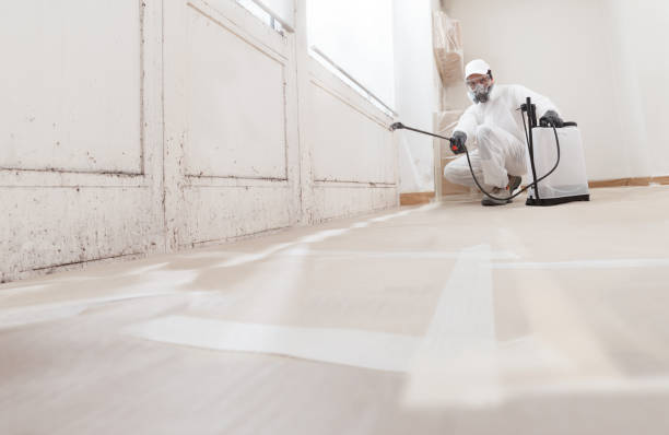 Black mold remediation team in Rutherford